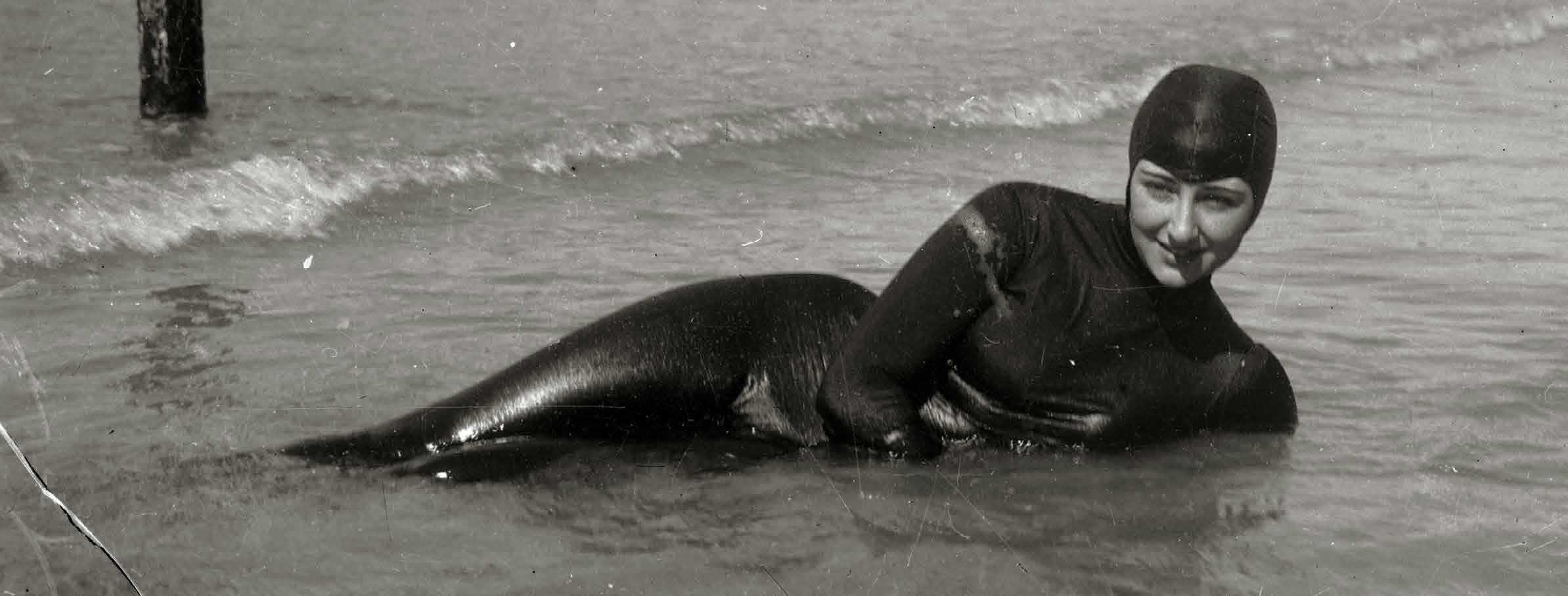 Helena  Cortesina, la Venus  valenciana